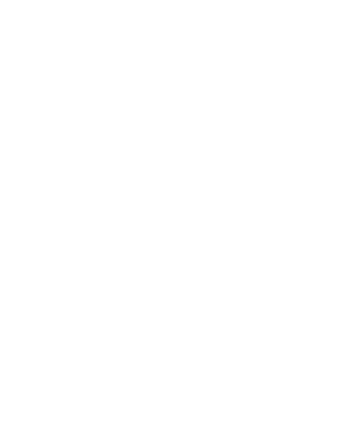 LADDERS